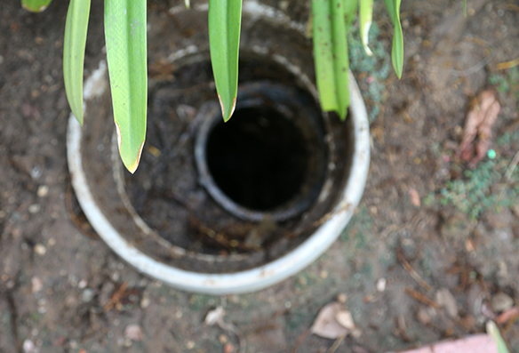 Your Trusted Partner in Commercial Trenchless Sewer Line Repair
