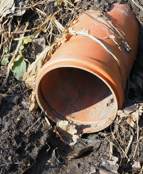 Common Signs of Sewer Line Trouble