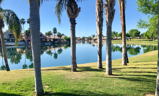 Mesa service area codes