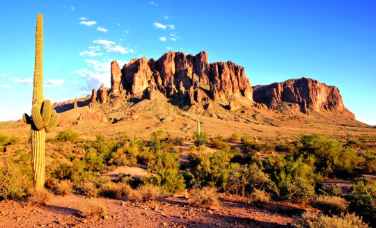Scottsdale service area codes
